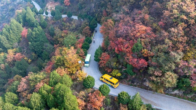 “瞰見秦嶺 詩畫終南”媒體景區(qū)行活動 邂逅南五臺秋韻