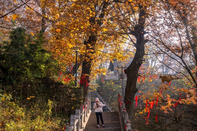 “瞰見秦嶺 詩畫終南”媒體景區(qū)行活動 邂逅南五臺秋韻